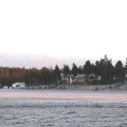 Näkymä Valkiavuorentieltä, metsän reunassa Hiillostien ja Hiilikujan asuinrakennuksia.