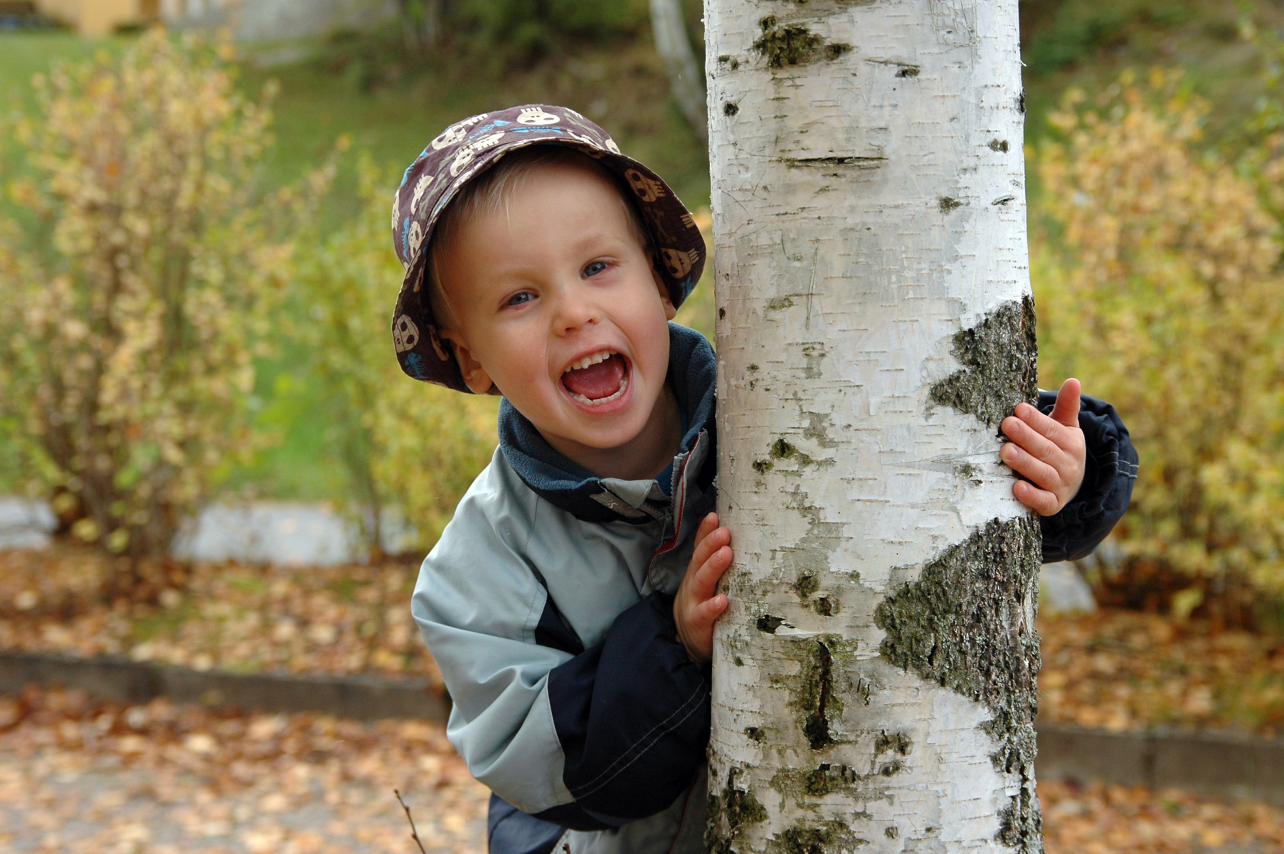 Iloinen lapsi kurkistaa puun takaa.