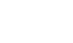 Naisvoimisteljat logo.