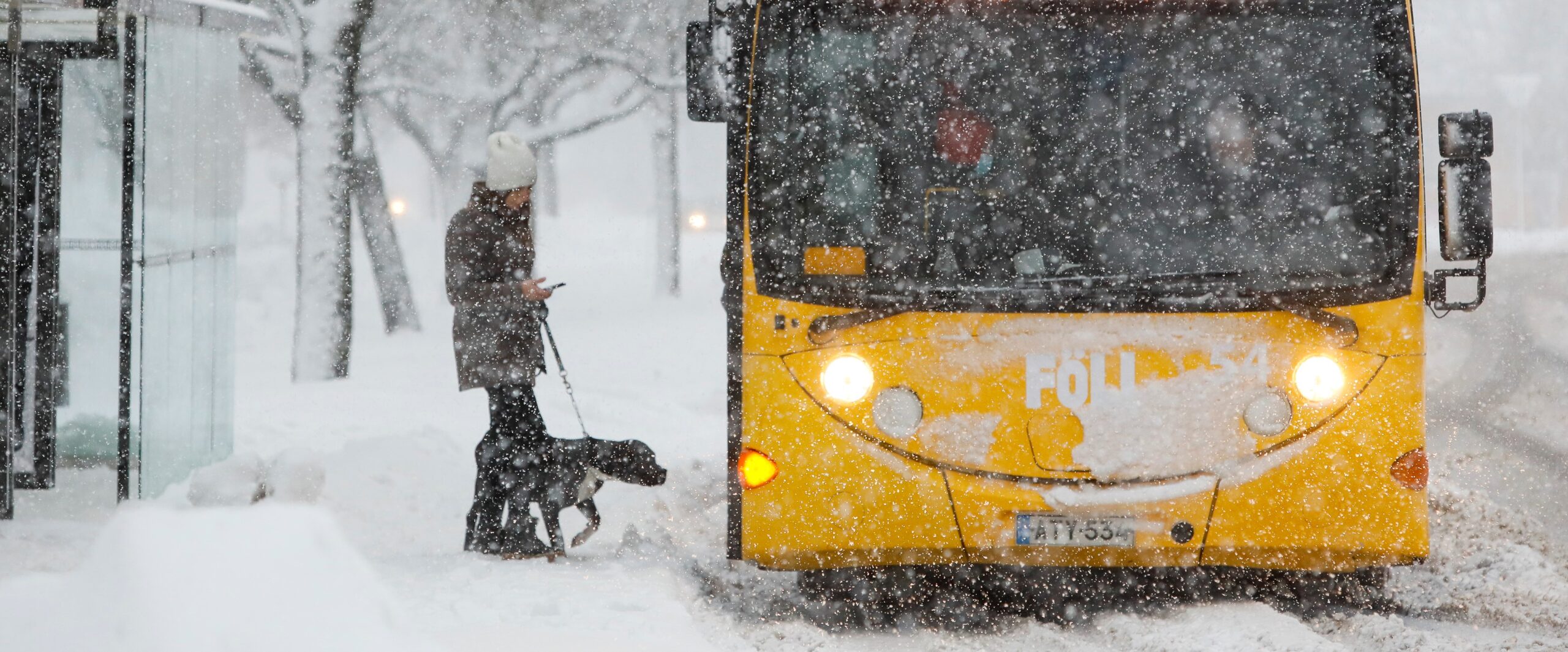 Lumisateessa henkilö bussipysäkillä astumassa linja-autoon koiran kanssa.