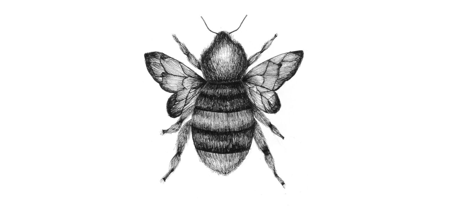 Piirroskuva mehiläisestä.