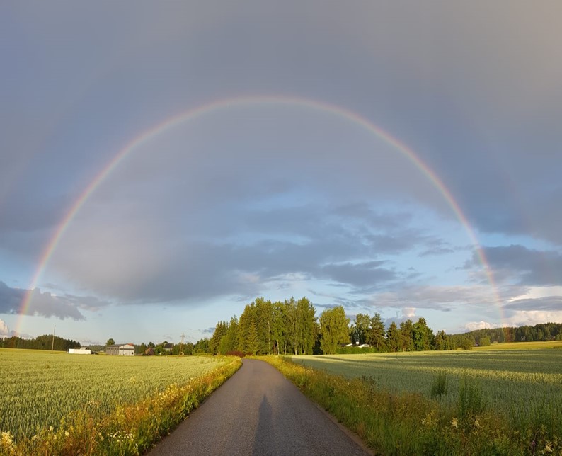 Sateenkaari metsäpalstan yllä.